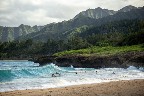 People swimming near shore with waves during the daytime