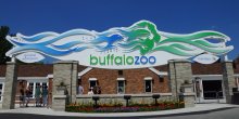 Buffalo Zoo sign 