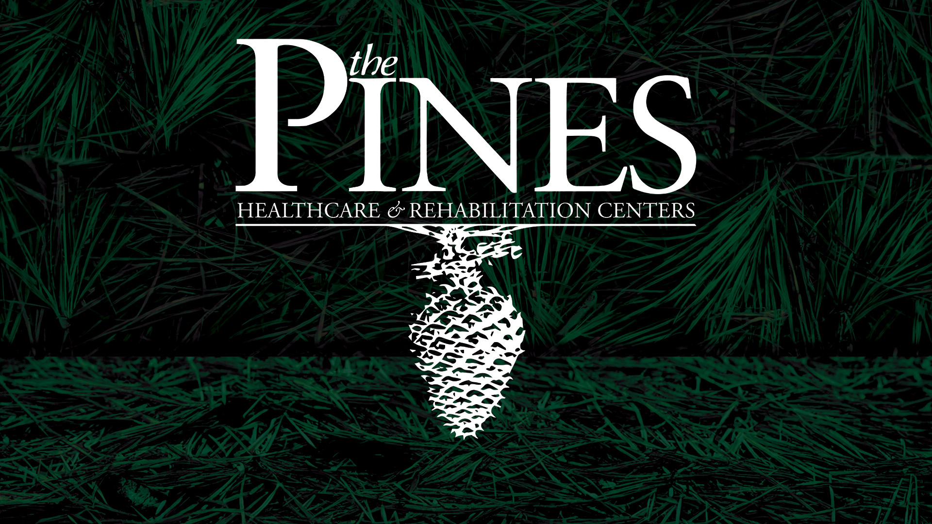 a logo of The Pines over a background of pine needles