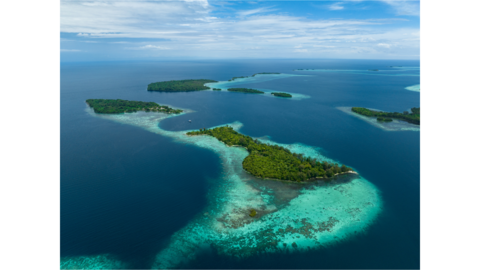 Bodies of land surrounded by water