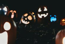 Group of carved pumpkins