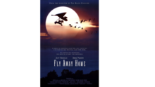 Geese following a hang glider in a night time scene