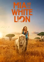 Girl walking with a lion in a desert